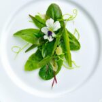 Spring Mignonette: Nature’s Delicate Herb in Bloom