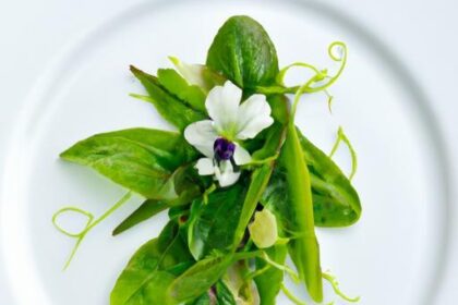 Spring Mignonette: Nature’s Delicate Herb in Bloom