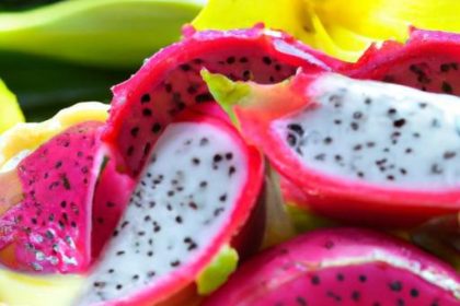 Exotic Dragon Fruit Tart with Creamy Vanilla Crust Delight