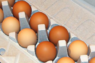 Egg Trays Uncovered: Eco-Friendly Solutions for Safe Storage