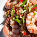 Shrimp Secrets: Exploring Nature’s Tiny Ocean Treasures